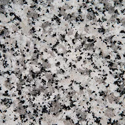Luna Pearl quartz countertops for Willoughby Ohio kitchens